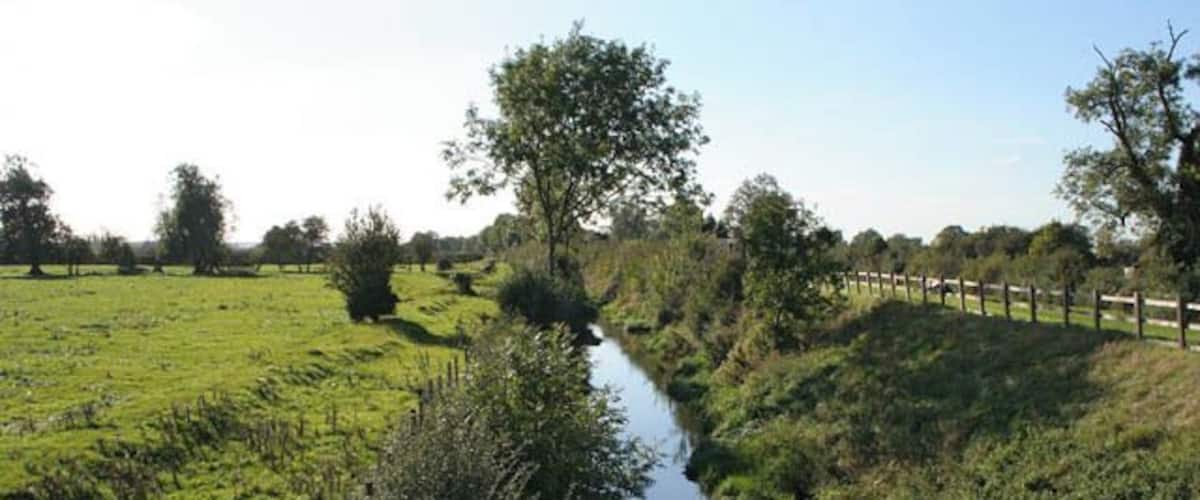 A narrow water channel surrounded by lush greenery and a wooden fence.