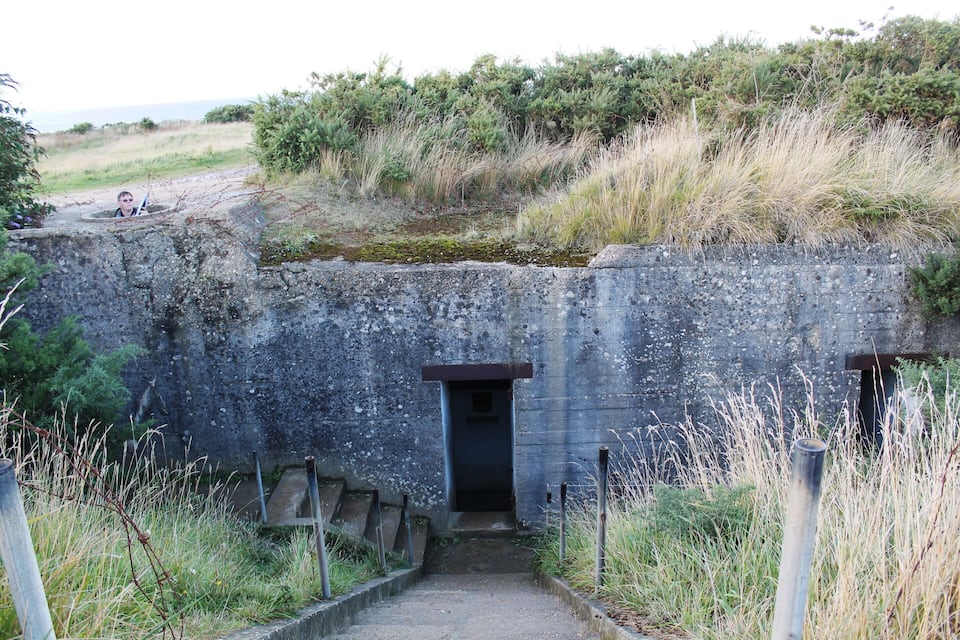 Ein Beton-Bunker-Eingang mit einem schmalen Pfad, der zu einer Tür führt, umgeben von Gras und Sträuchern.
