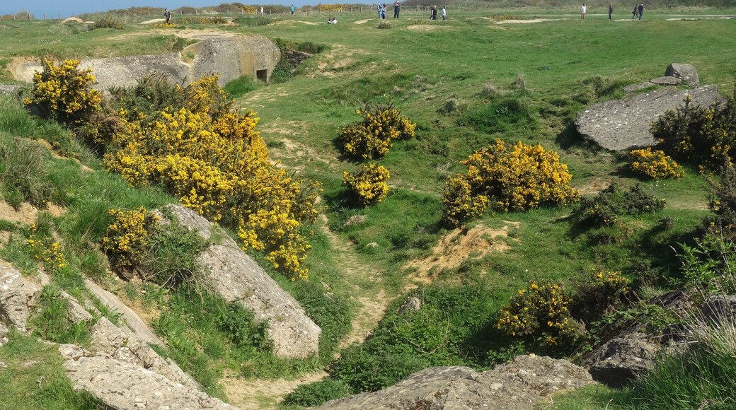 Normandy, traces of D-day.
June 6, 2019: 75th anniversary of D-day in Normandy.
Today, the Pointe du Hoc looks like the lunar surface. Craters left by aerial bombing and naval artillery shells still litter the ground as evidence of the fierce battle that took place here. #D_day_Normandy