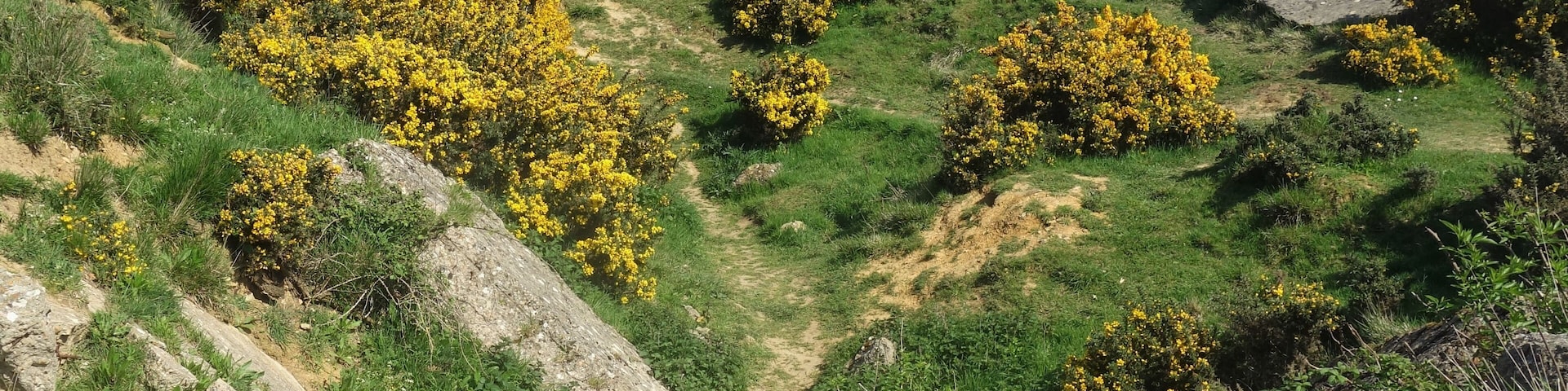 Normandy, traces of D-day.
June 6, 2019: 75th anniversary of D-day in Normandy.
Today, the Pointe du Hoc looks like the lunar surface. Craters left by aerial bombing and naval artillery shells still litter the ground as evidence of the fierce battle that took place here. #D_day_Normandy