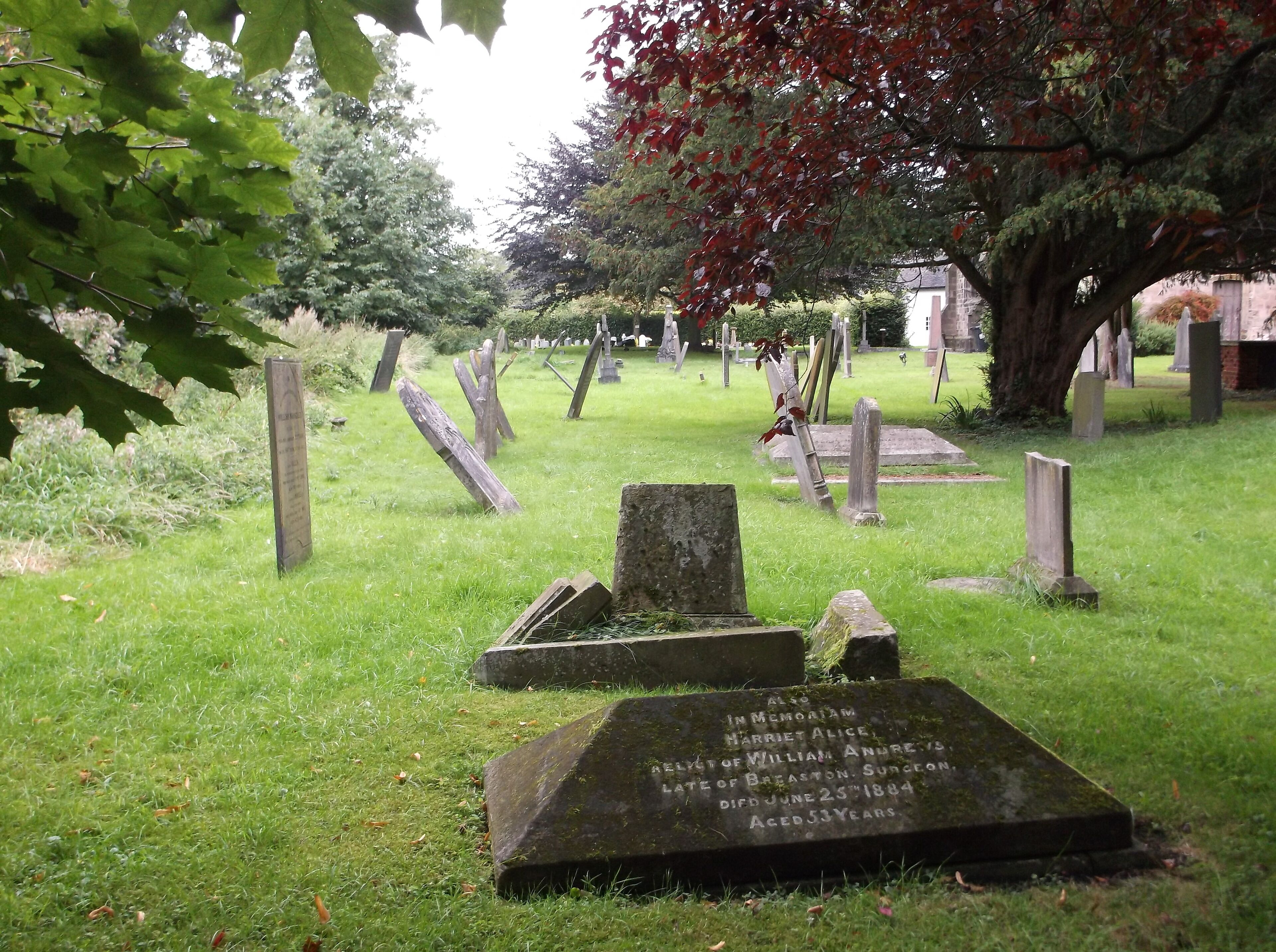 A cemetery with gravestones and a large tree with red leaves.