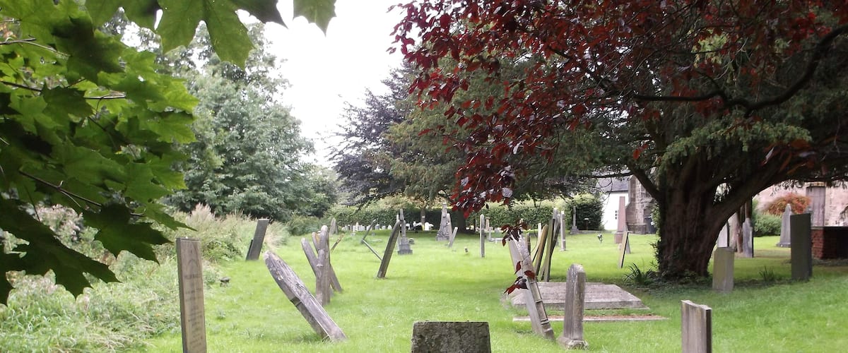 A cemetery with gravestones and a large tree with red leaves.