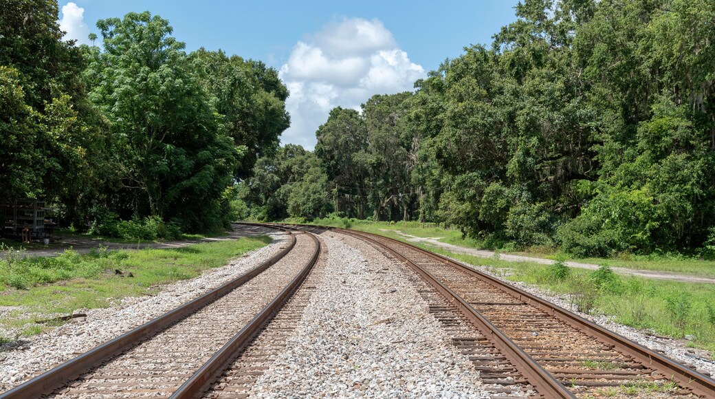Summerfield, Florida, USA, 2018. Railroad signals and track passing through North Florida countryside.