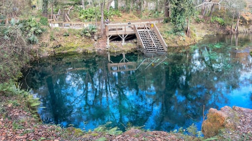 ริดจ์มานอร์