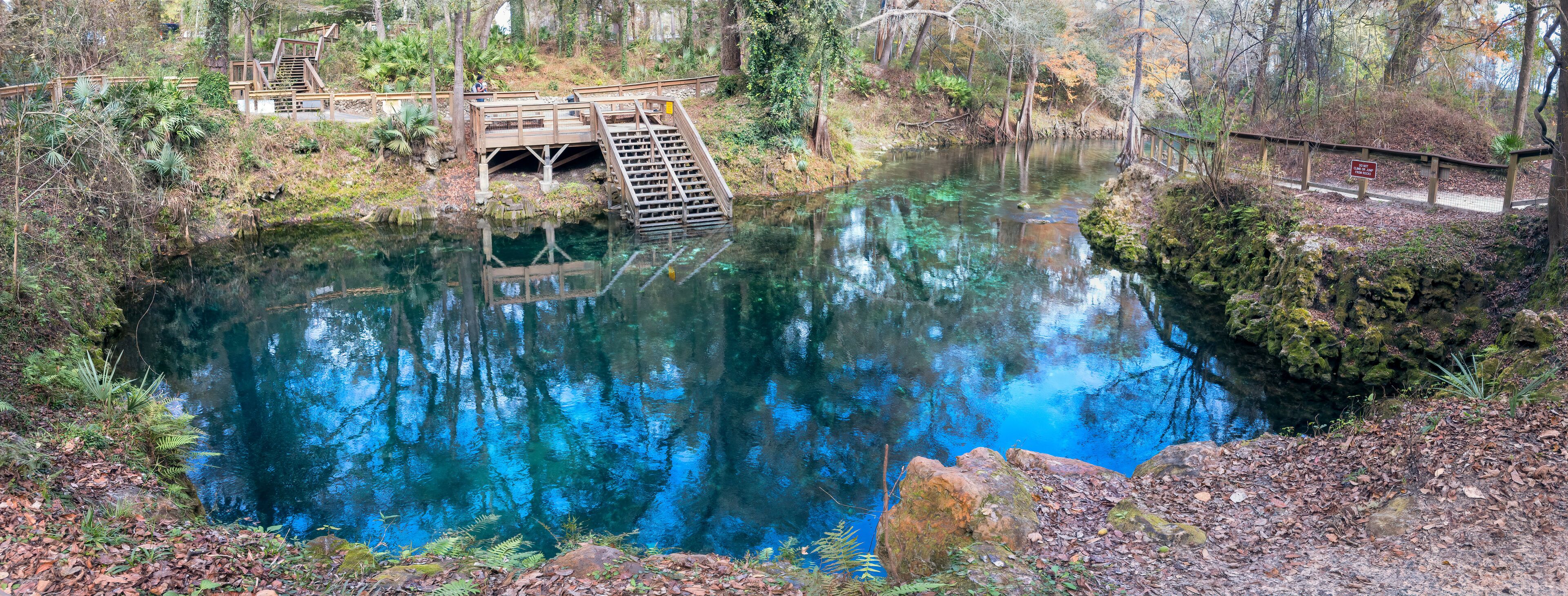 A clear blue pond surrounded by trees and a wooden bridge.