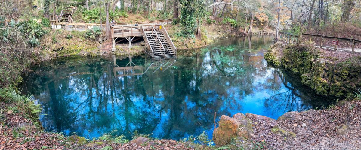 A clear blue pond surrounded by trees and a wooden bridge.