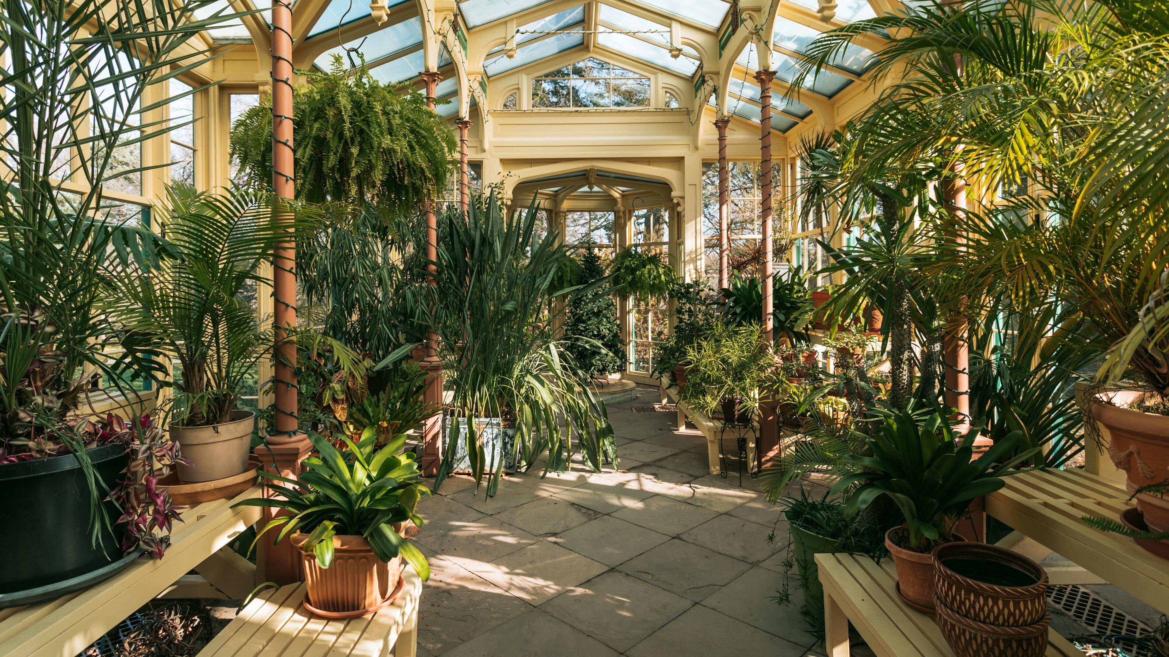 Rockwood Park and Museum which includes a park and interior views