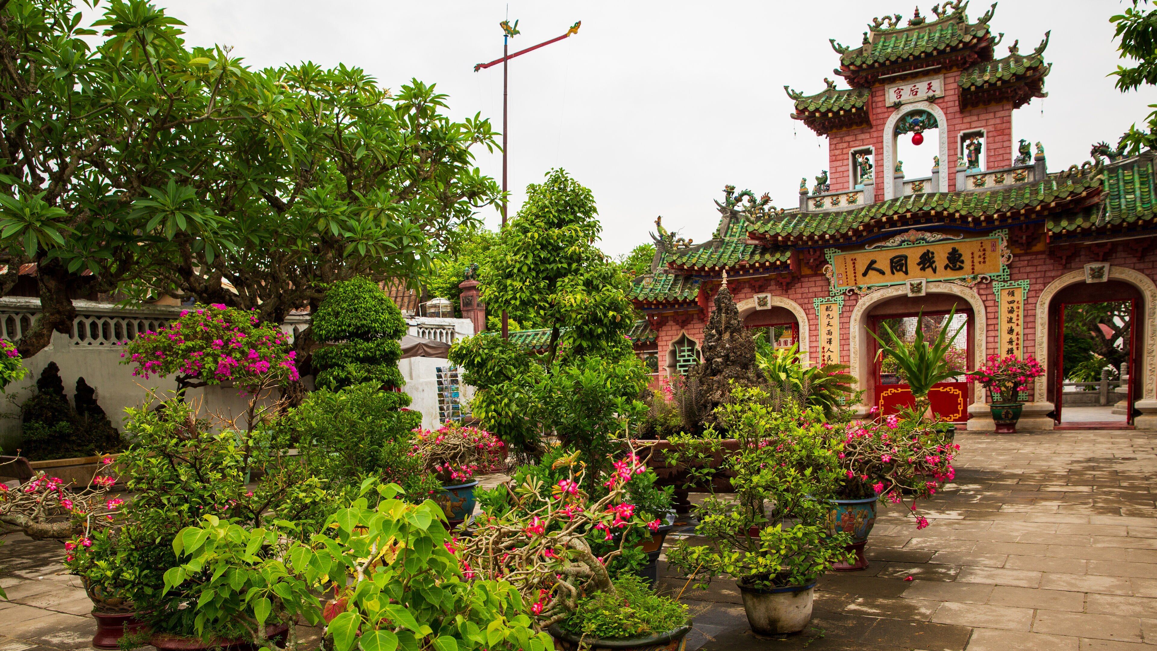 Assembly Hall of the Fujian Chinese Congregation showing a park, heritage architecture and wildflowers