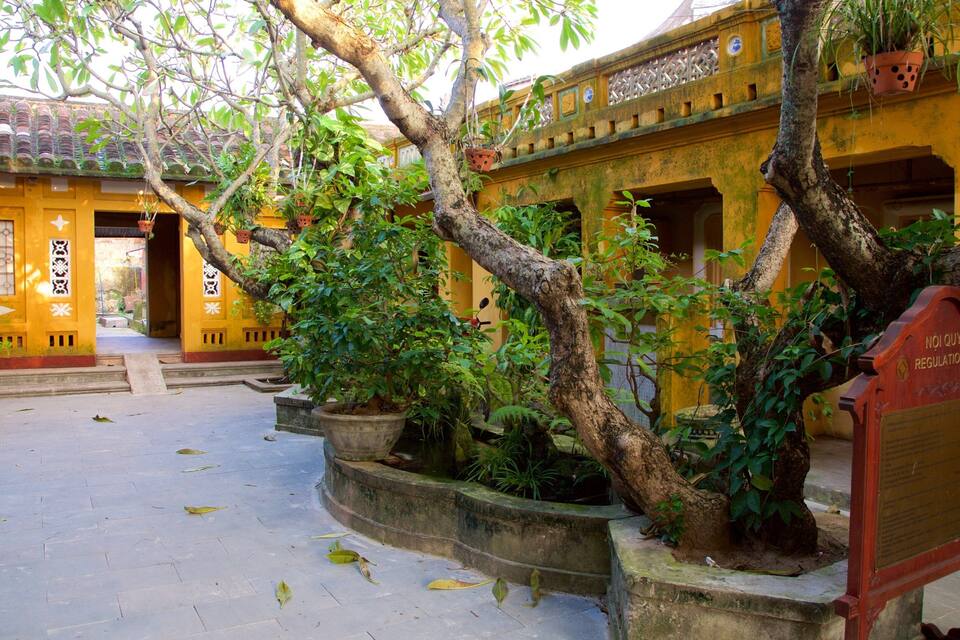 Un patio con edificios amarillos, plantas en macetas y un letrero que dice 'Nội Quy Regulations'.