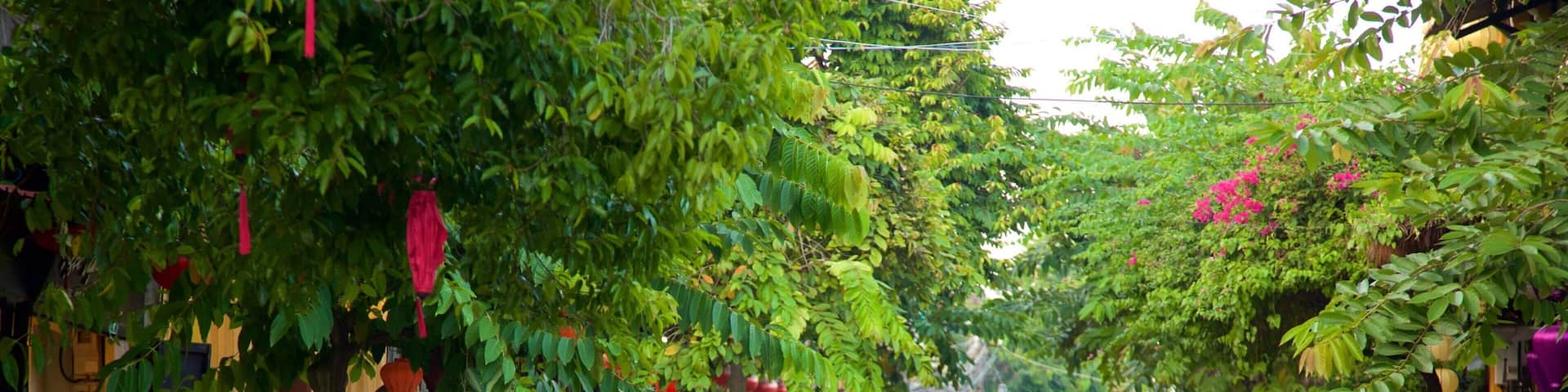 Hoi Ans gamla stad som inkluderar en liten stad eller by, cykling och gatuliv