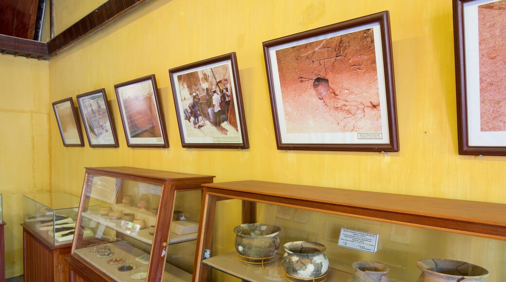 Sa Huynh Culture Museum bevat interieur