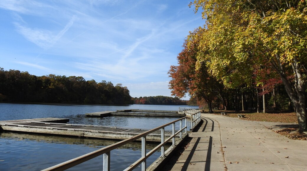 The beautiful scenery of Lums Pond State Park, in New Castle County, Delaware.