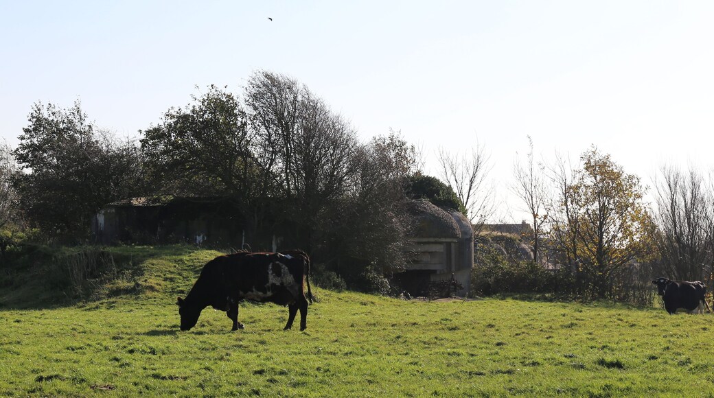 Batterie d'Ecqueville à Octeville-sur-Mer.