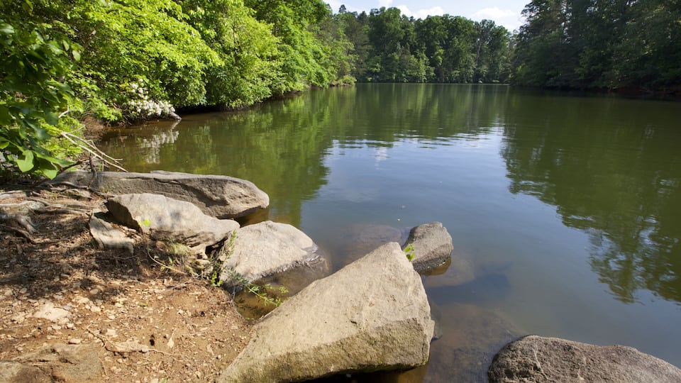 Lake Norman in the Piedmont of North Carolina