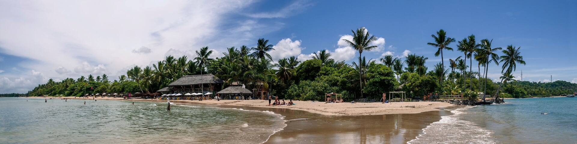 A tropical beach with clear waters, palm trees, and a thatched-roof building.