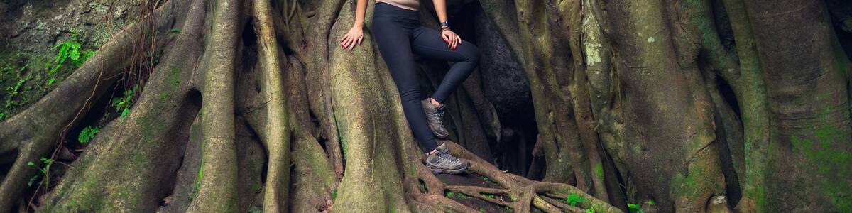 Young woman posing on a giant root tree in the tropical forest. Young woman in green wet forest on sunny day. Sustainable tourism concept. Amatlán, Mexico.