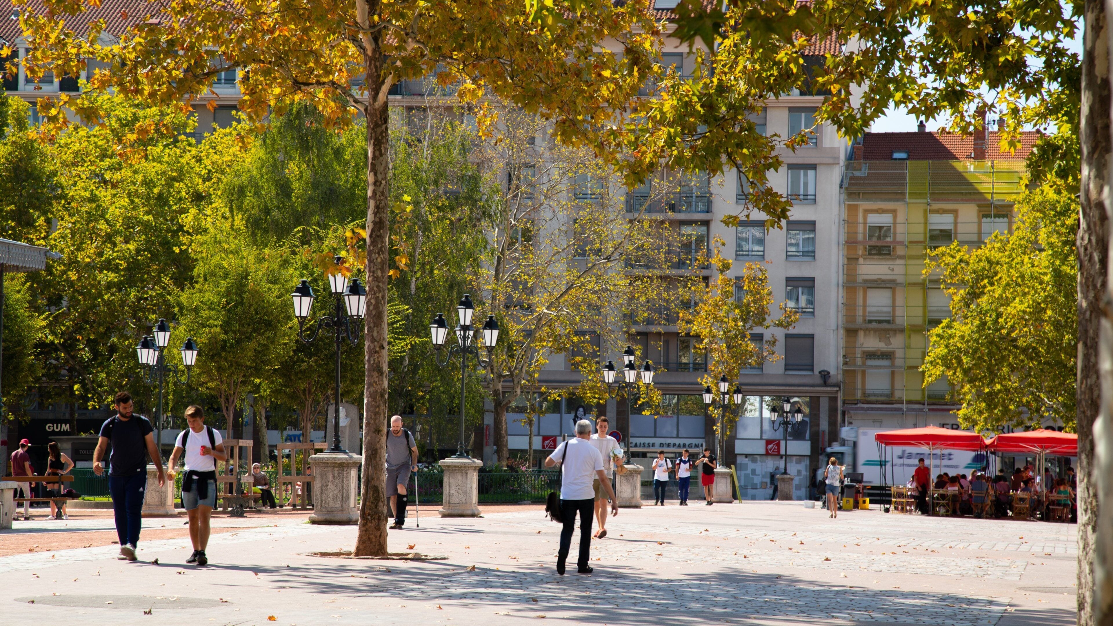 8th Arrondissement showing a square or plaza and street scenes