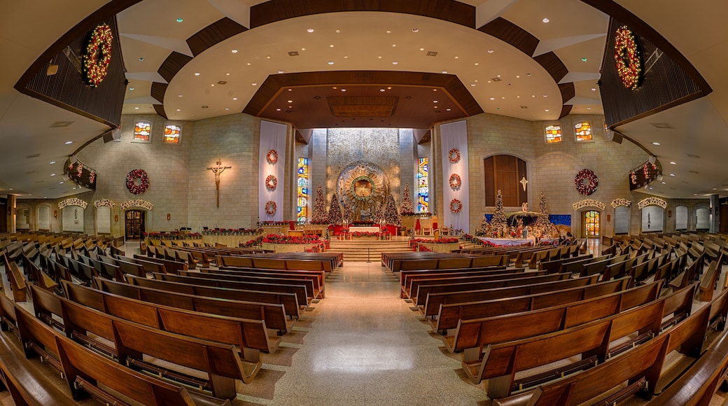 Basilica of Our Lady of San Juan del Valle National Shrine in San Juan, Texas