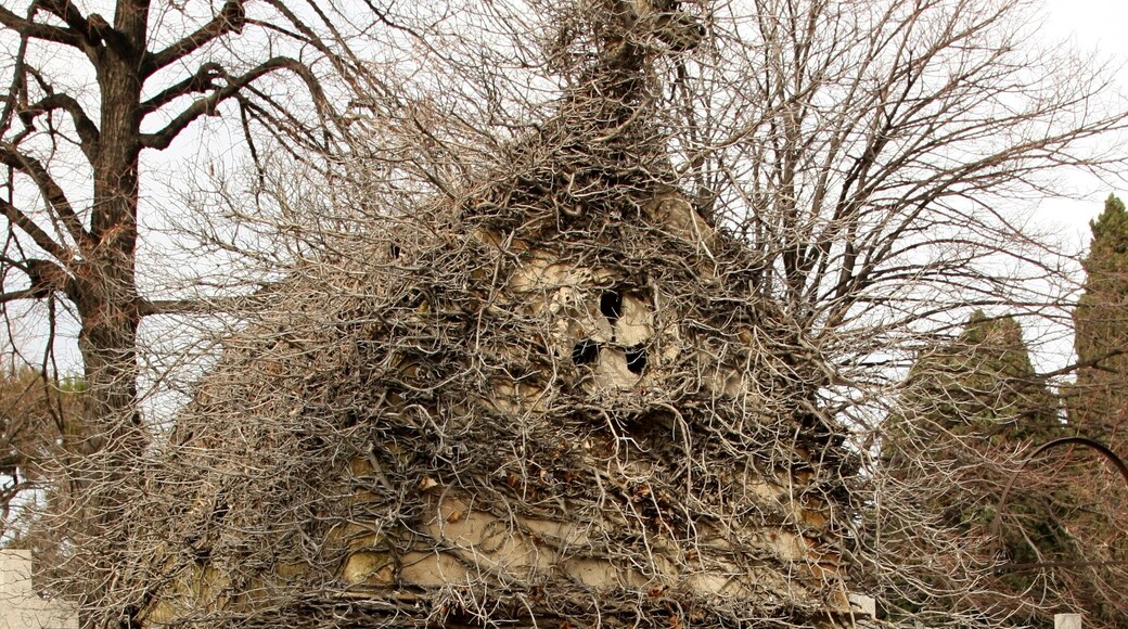 An overgrown tomb in the Saint-Pierre cemetery in Marseille, France.