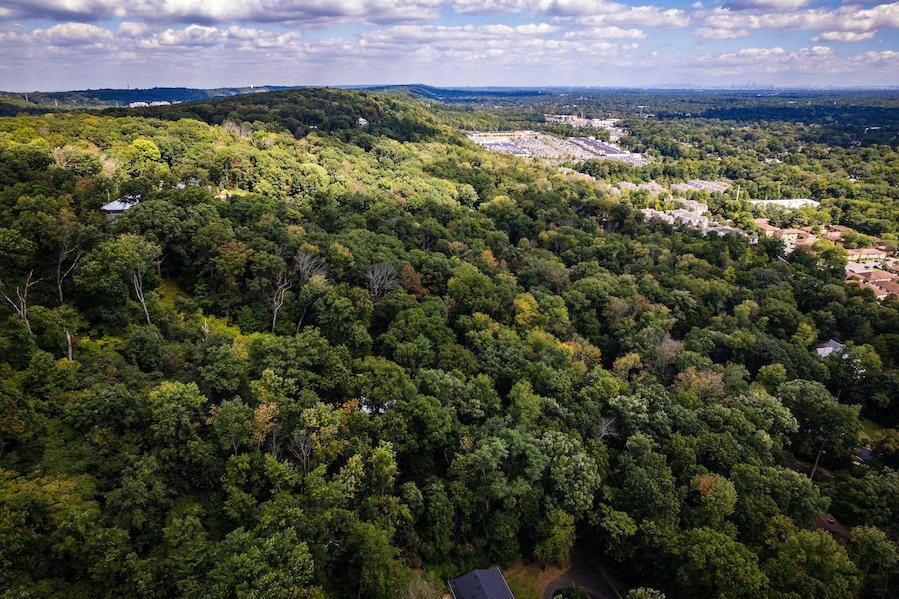 A dense forest with scattered buildings and a distant city skyline.