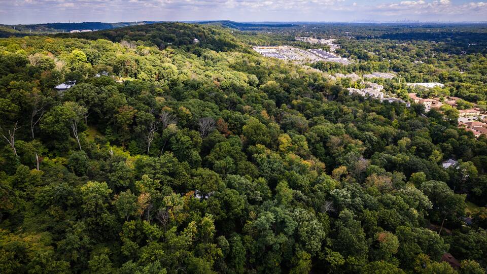 A dense forest with scattered buildings and a distant city skyline.