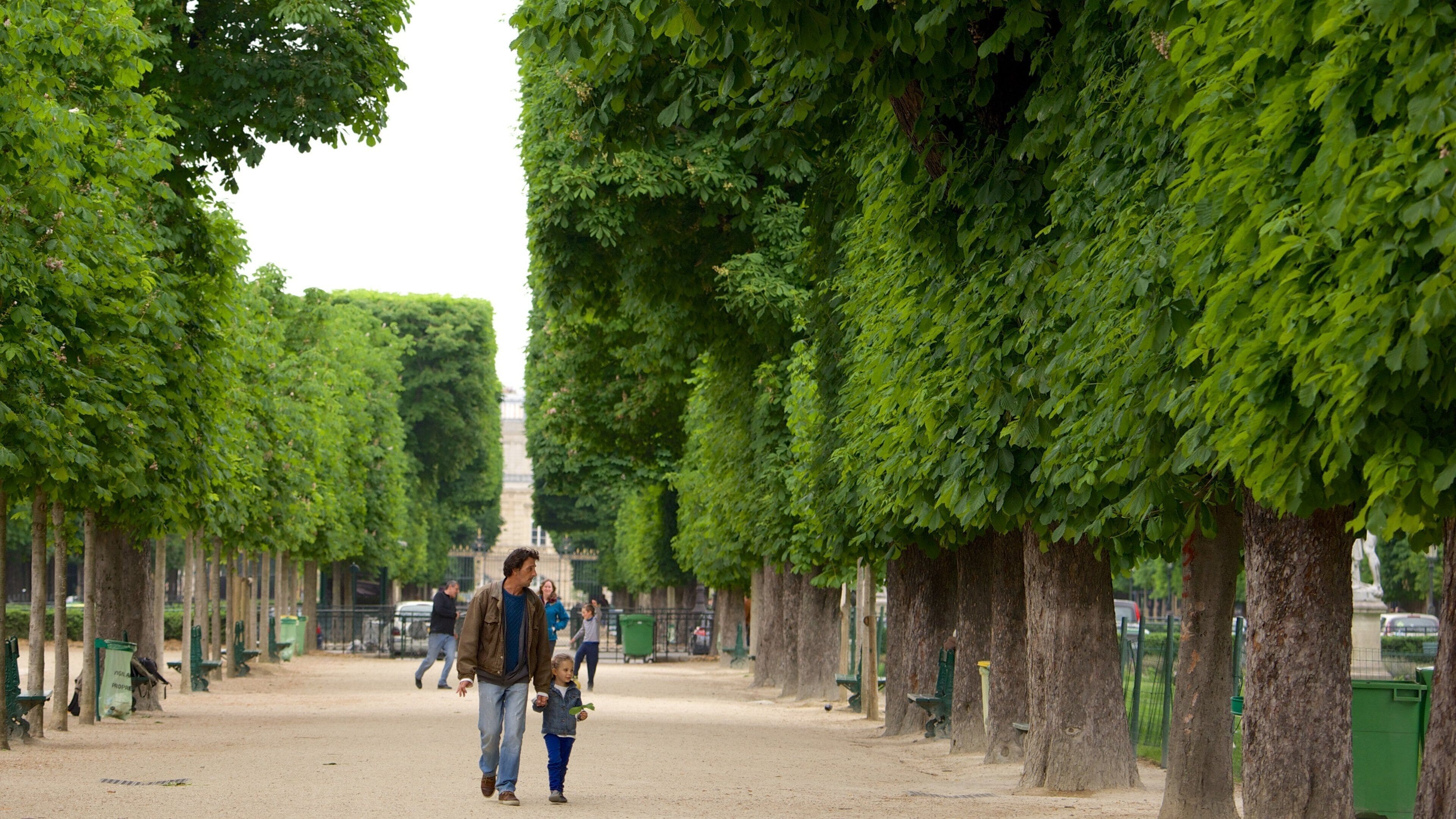 6. arrondissement fasiliteter samt hage