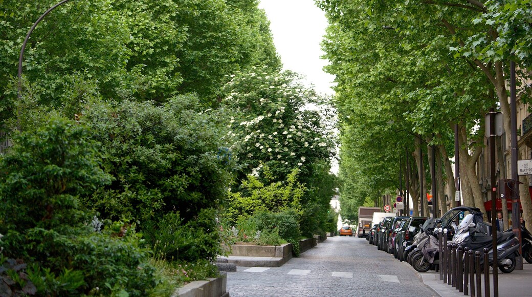 9. arrondissement fasiliteter samt gatescener og hage