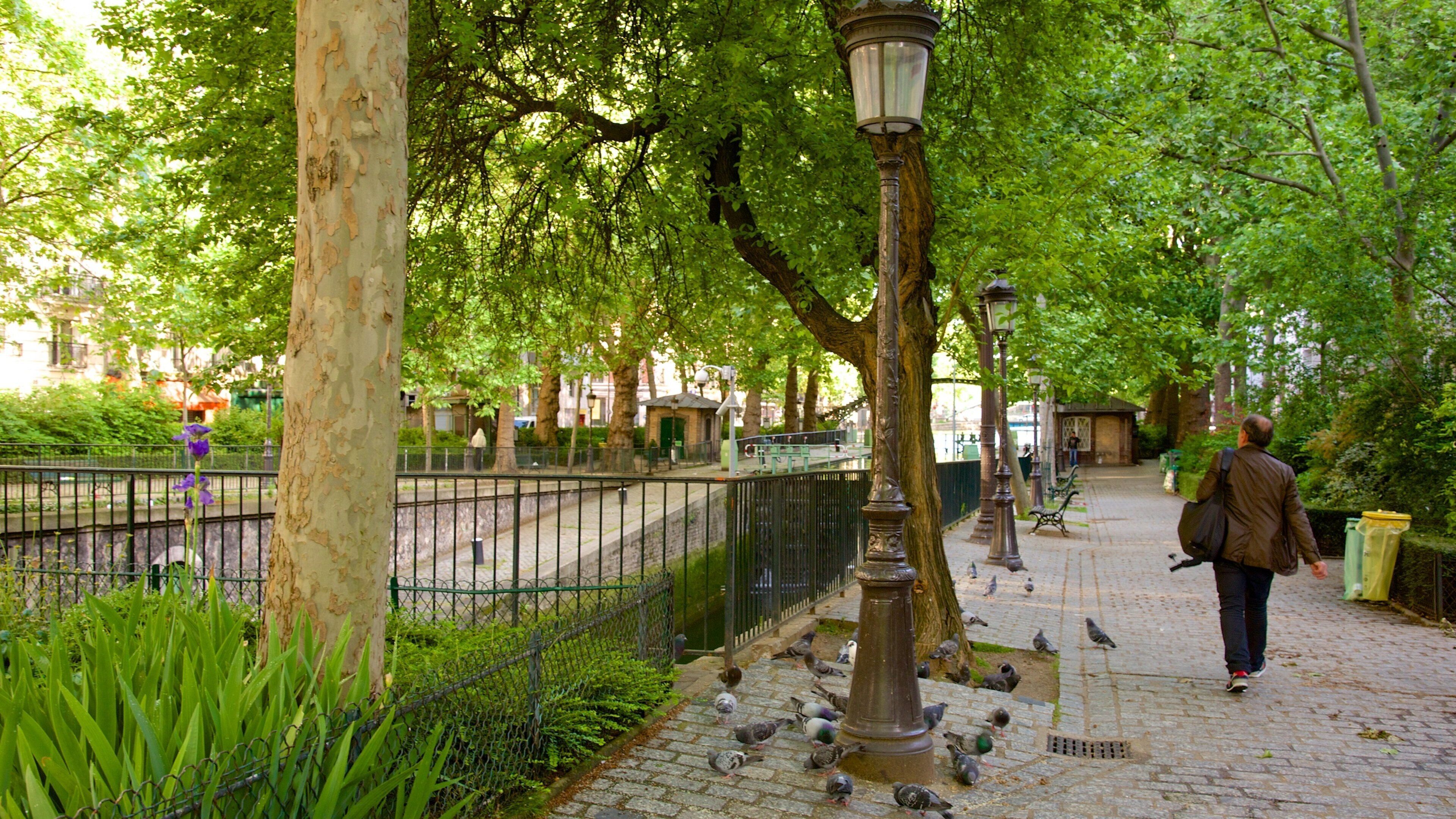 10th Arrondissement showing a park and bird life
