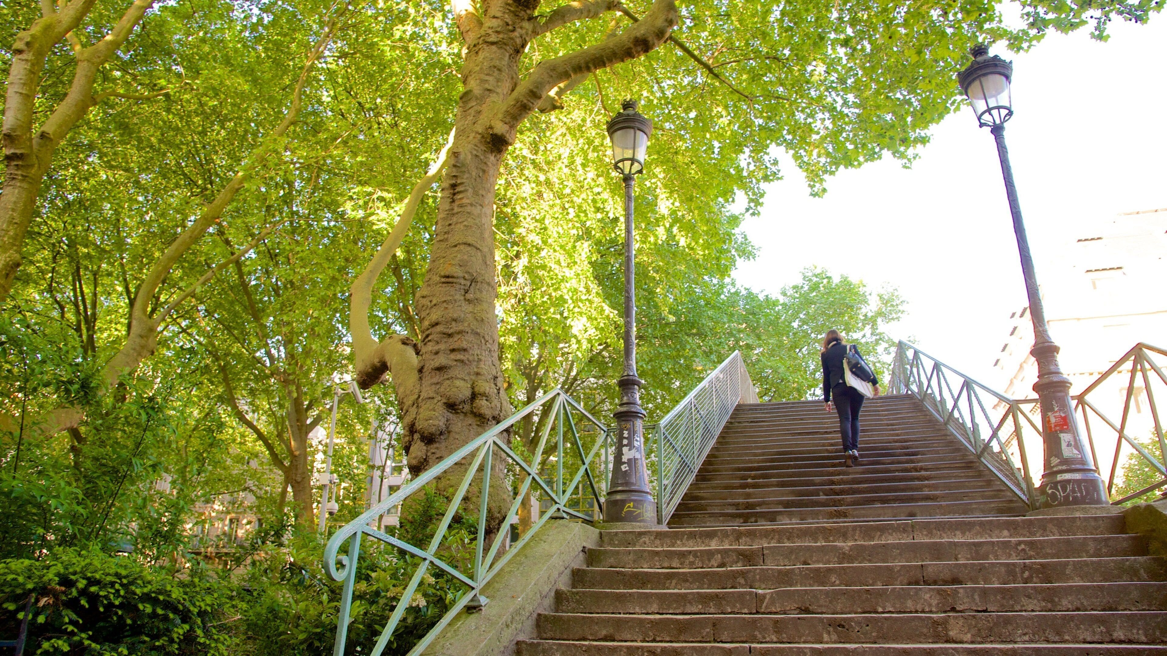 10th Arrondissement showing a garden