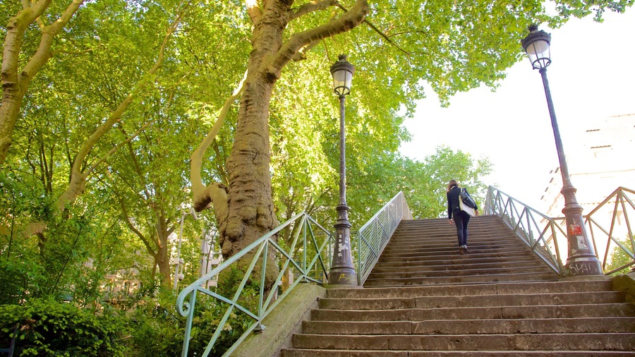 10th Arrondissement showing a park