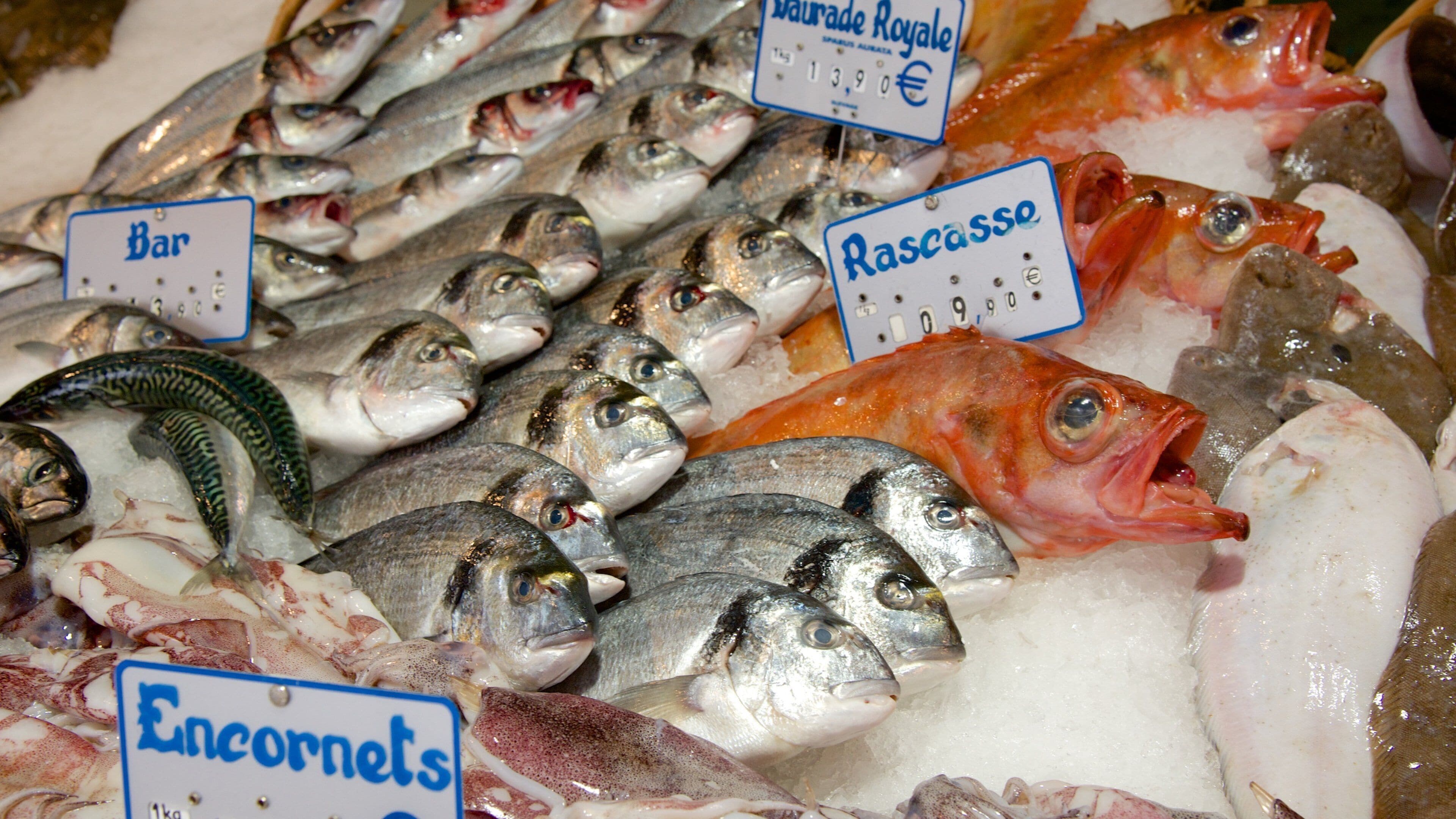 15° Arrondissement caratteristiche di cibo