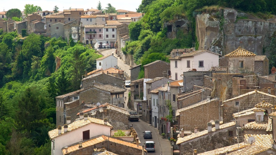 Bomarzo which includes heritage architecture and a city