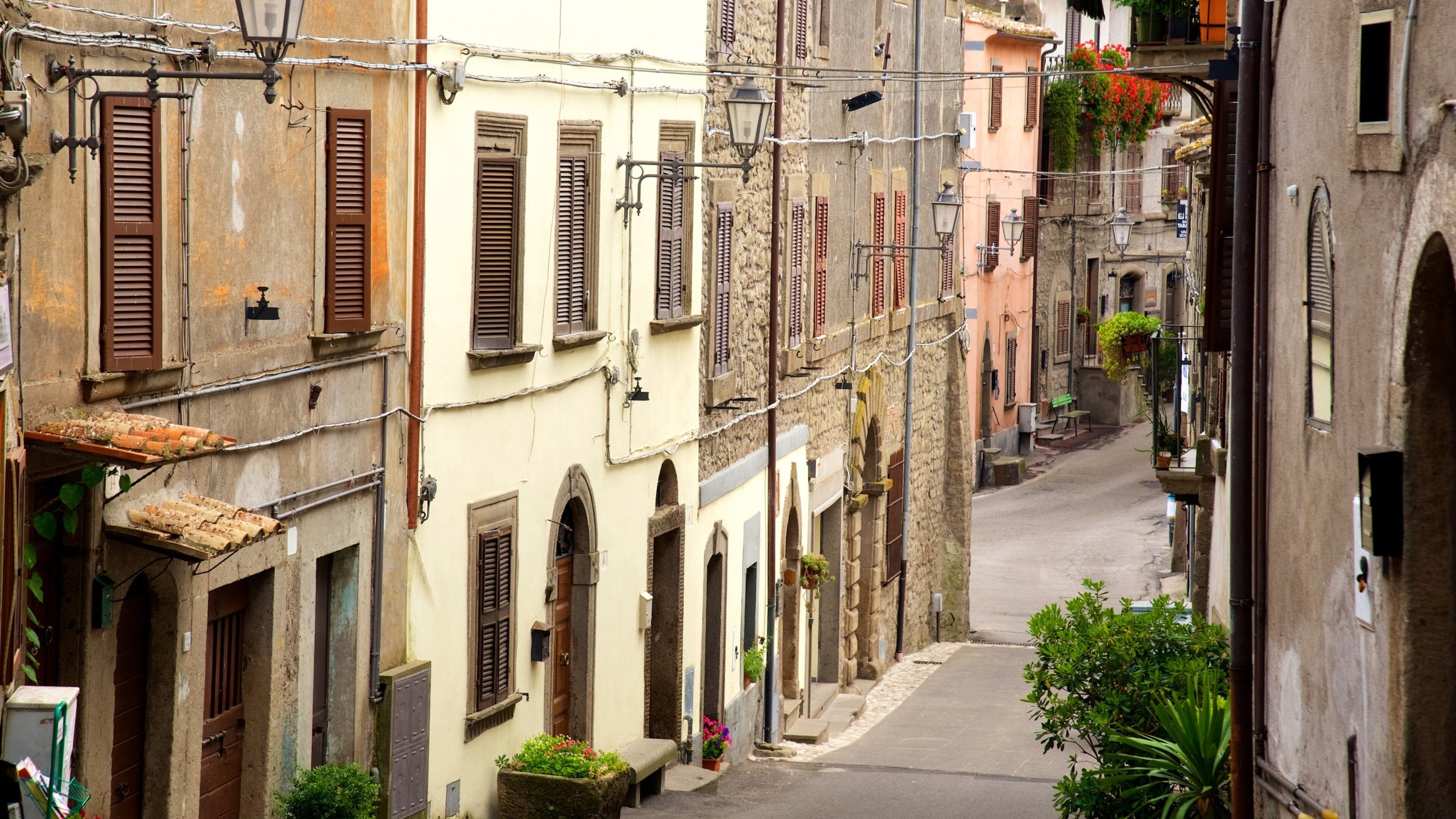A narrow street flanked by old buildings with shutters and hanging plants.
