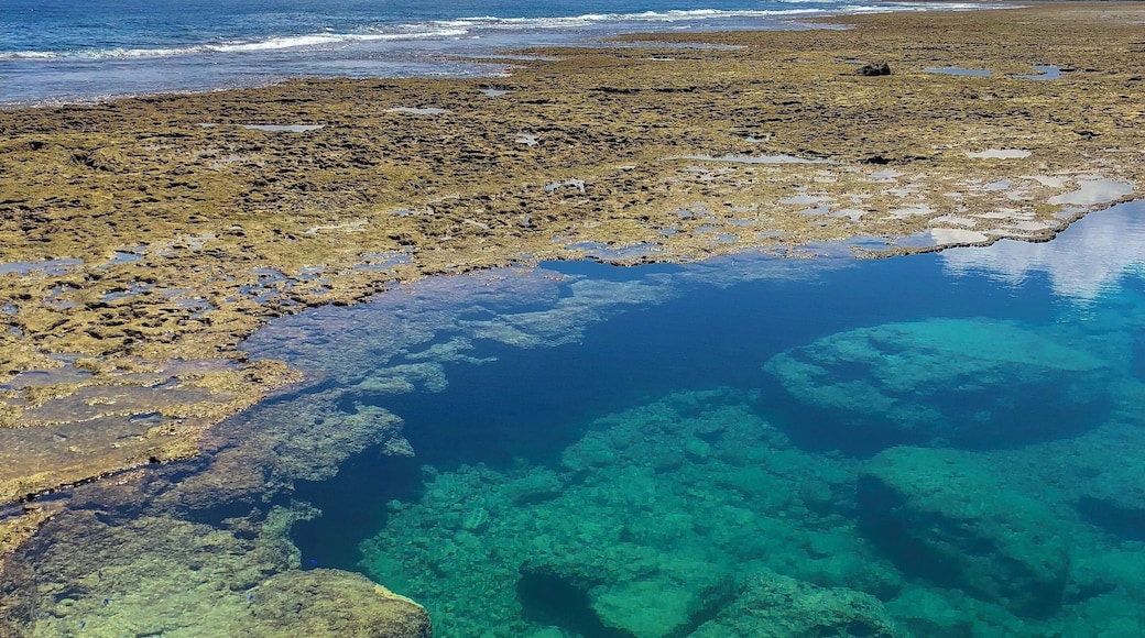Secret spot in south Okinawa. Low tide here has so many surprises. This crystal clear, natural tide pool goes down to 25ft deep and is my favorite spot on the island. #Adventure #beaches #okinawa #japan