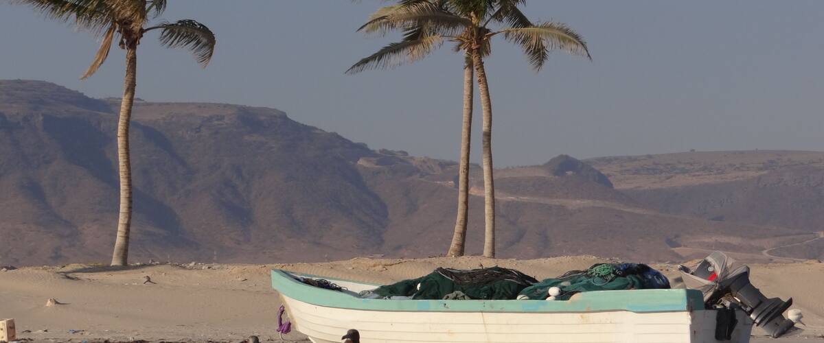 Palms in the wind, seawaks, mountains