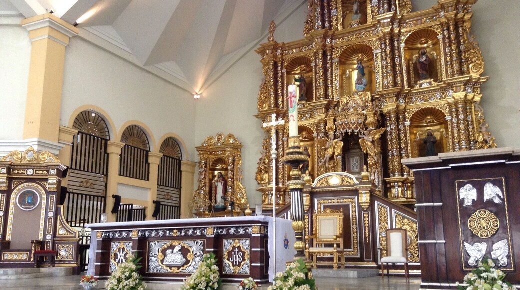 So grand even after Hainan Typhoon Pope Francis came to visit the the survivors to console them because its not easy to move on after the devastation