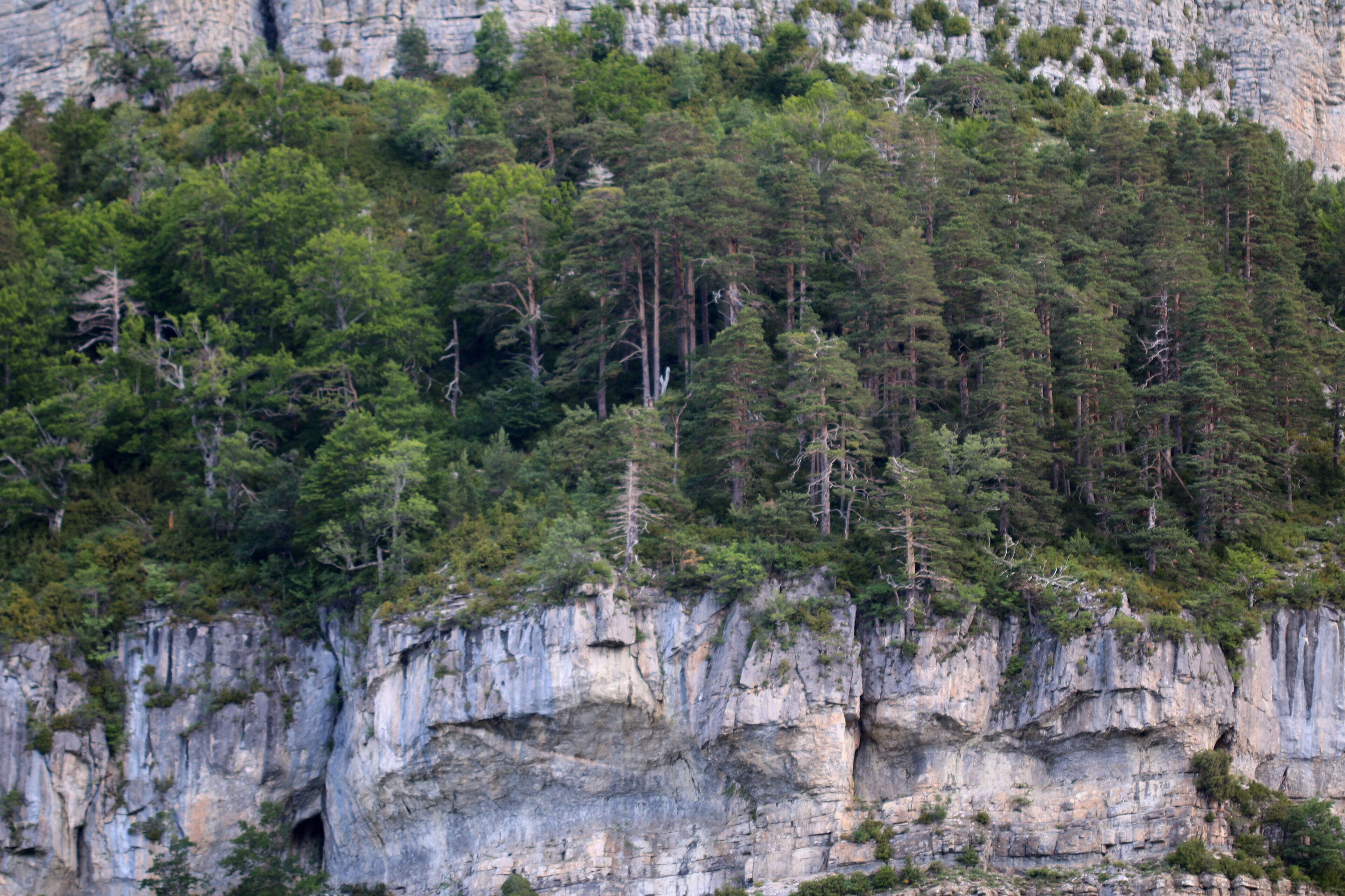 Refugio de Gabardito, Aragon, Spain