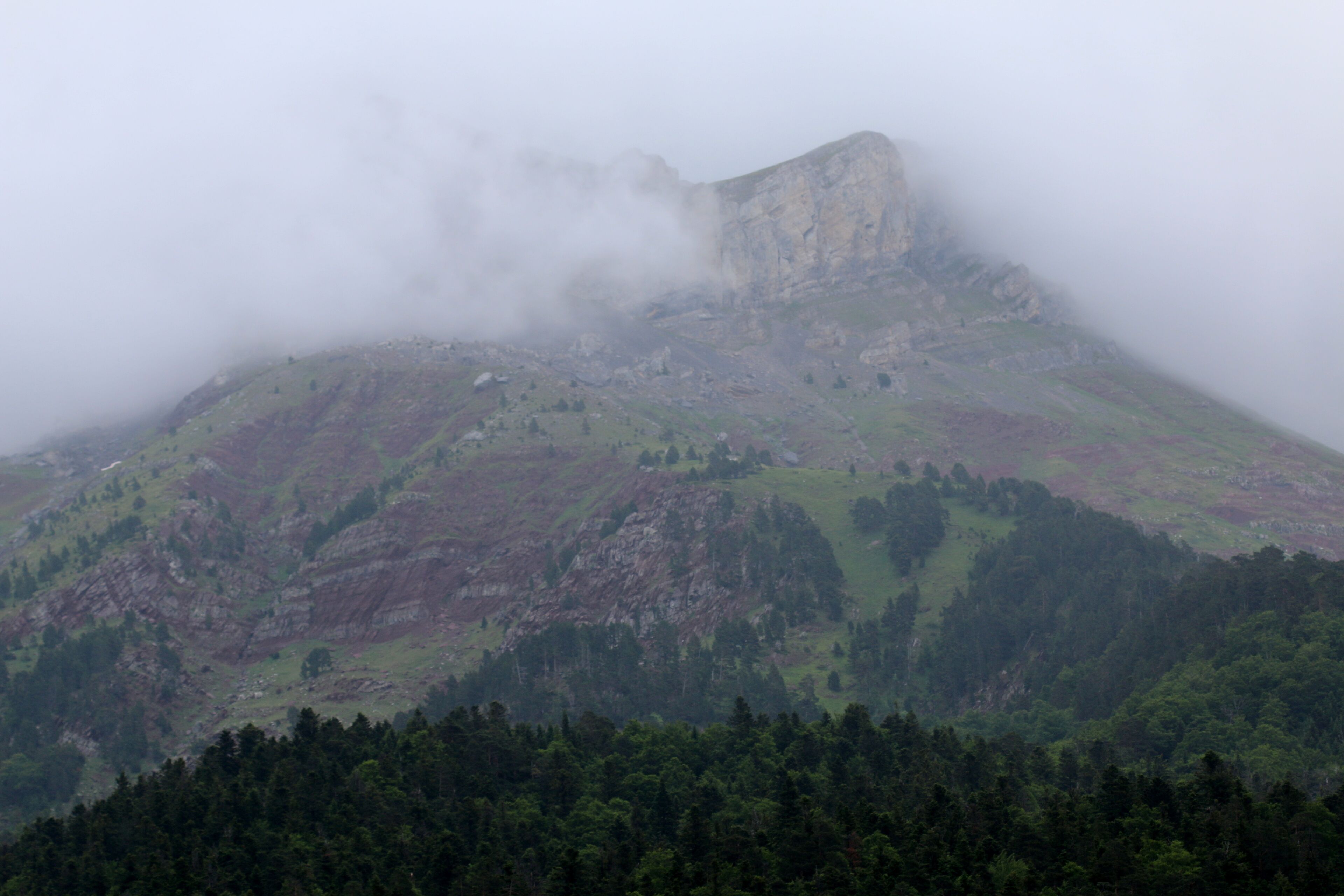 Selva de Oza, Aragon, Spain