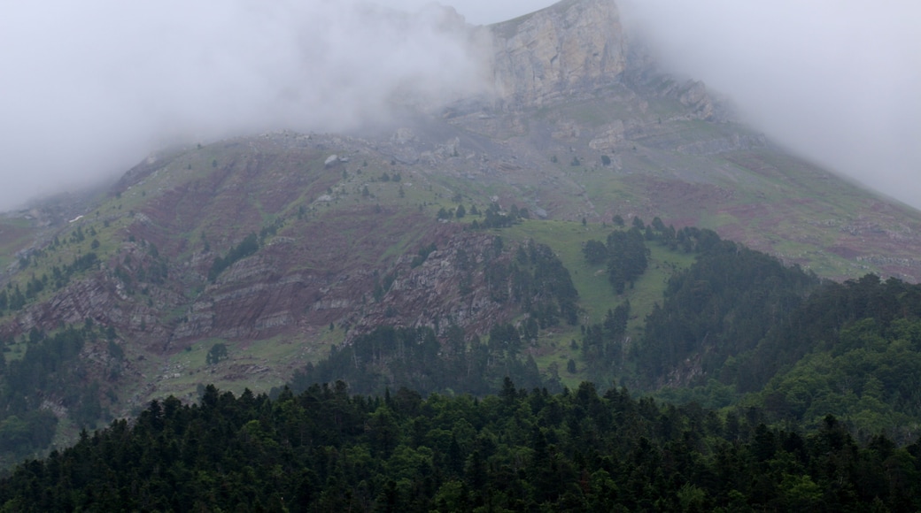 Selva de Oza, Aragon, Spain
