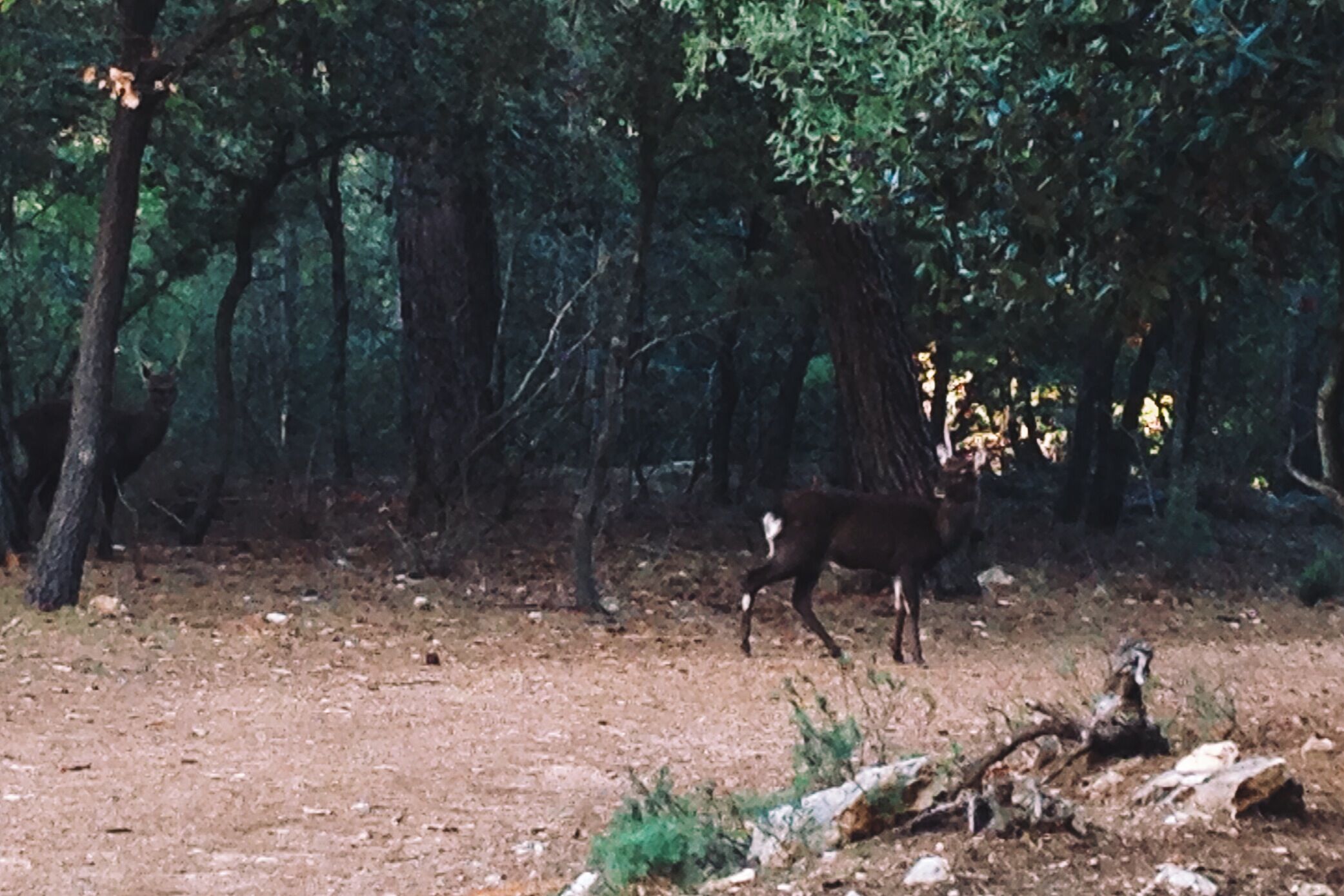 Парк de Coulondres 2013 Видео из парка: vimeo.com/78759058
