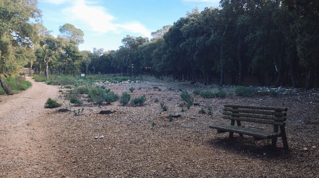 Парк de Coulondres 2013 Видео из парка: vimeo.com/78759058