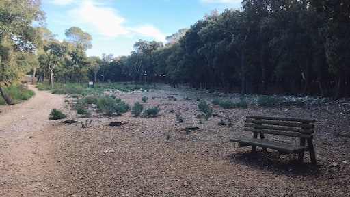 Парк de Coulondres 2013 Видео из парка: vimeo.com/78759058