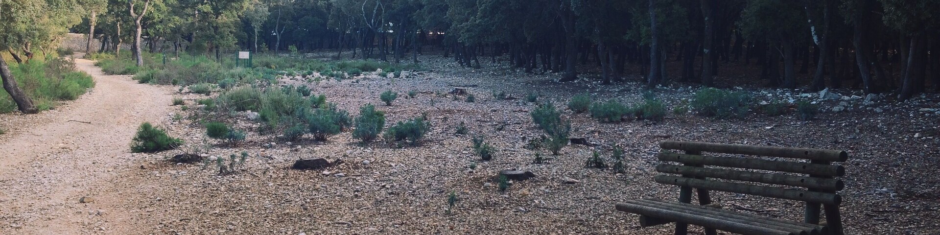 Парк de Coulondres 2013 Видео из парка: vimeo.com/78759058