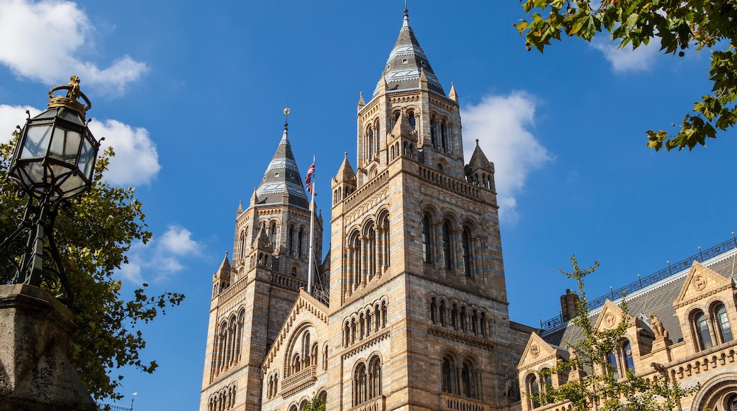 Natural History Museum in London