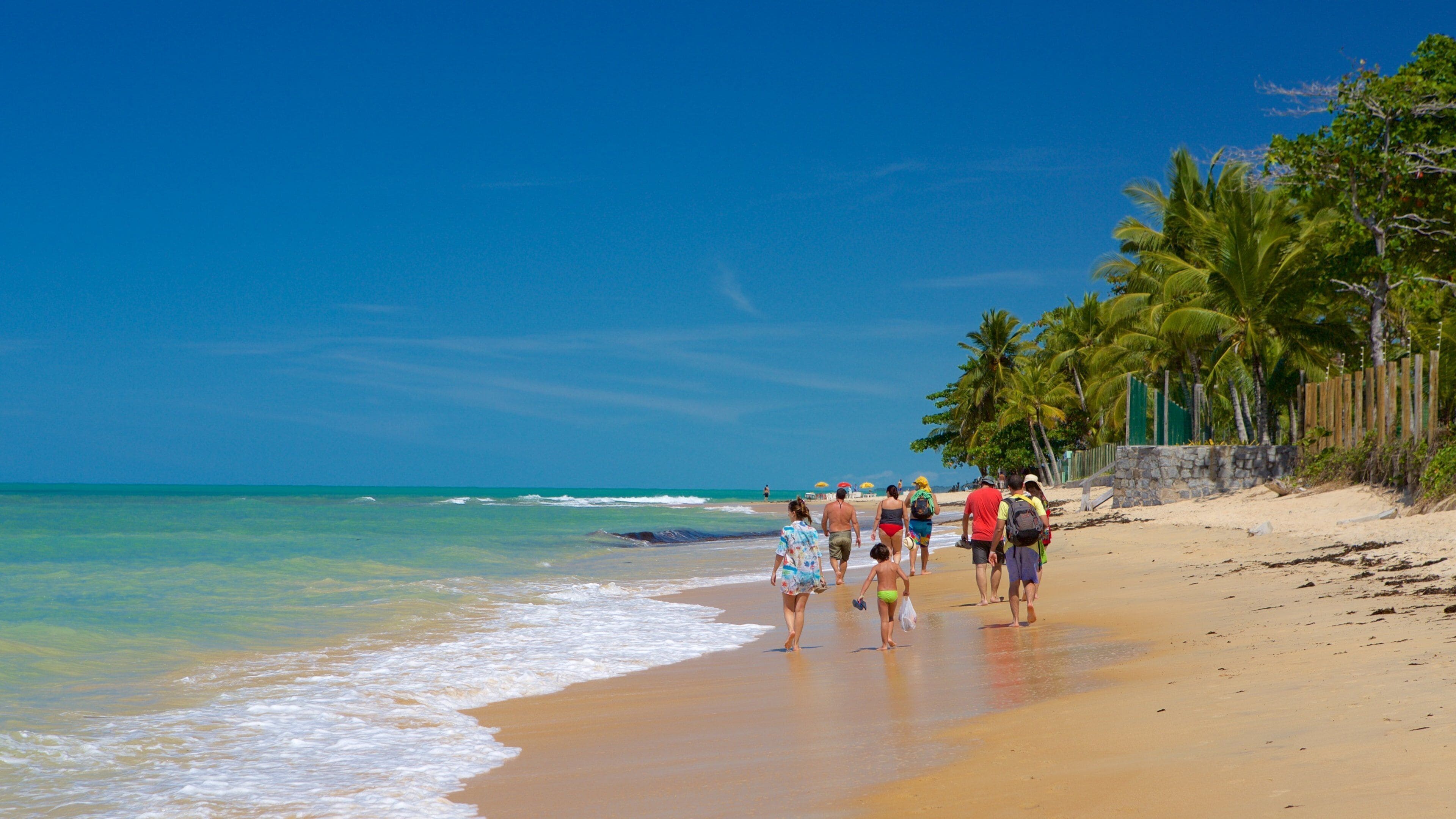 Pitinga Beach which includes general coastal views, tropical scenes and a beach