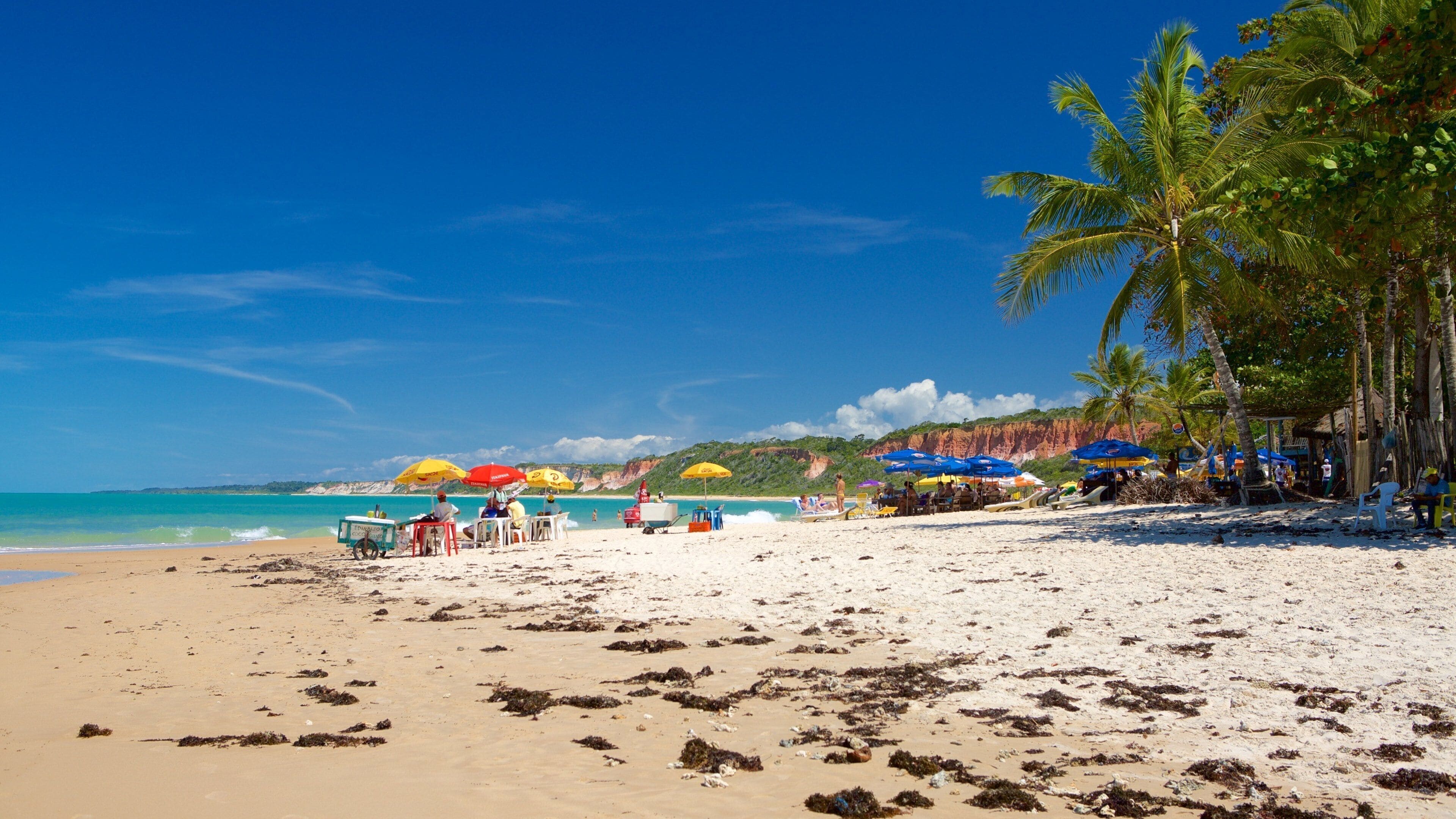 Pitinga Beach featuring tropical scenes, a sandy beach and general coastal views