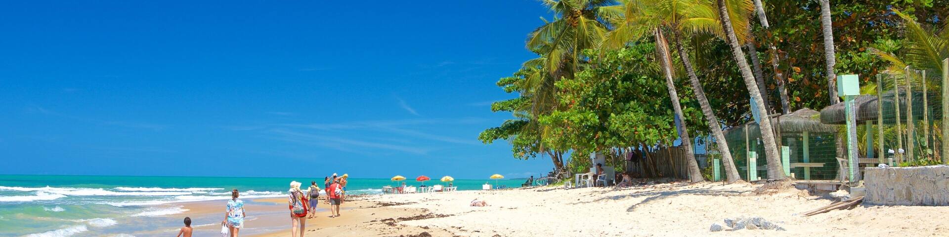 Plage de Pitinga qui includes plage de sable, scĂšnes tropicales et vues littorales