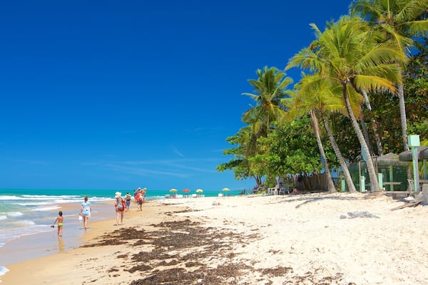 Plage de Pitinga qui includes plage de sable, scĂšnes tropicales et vues littorales