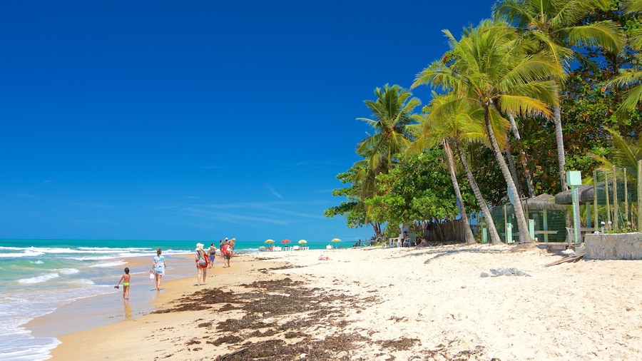 Pitinga Beach featuring a sandy beach, tropical scenes and general coastal views