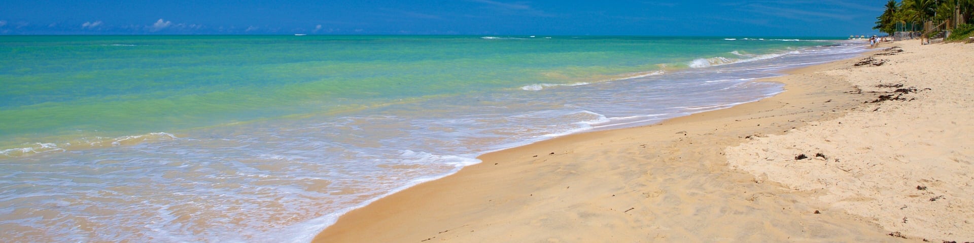 Pitinga Beach featuring a sandy beach, surf and general coastal views